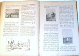 ODROWĄŻ-PIENIĄŻEK - W CESARSTWIE MENELIKA - 4