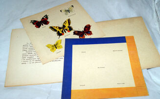 BRZEZICKI- PAŹ KRÓLOWEJ wyd. 1959 ilustr. SZANCER - 5