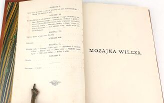 MACHCZYŃSKI - MOZAJKA WILCZA UŁOŻONA Z MŁODZIEŃCZYCH WSPOMNIEŃ MYŚLIWSKICH PRZYJACIELA 1896 ryciny - 7