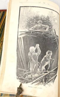 MACHCZYŃSKI - MOZAJKA WILCZA UŁOŻONA Z MŁODZIEŃCZYCH WSPOMNIEŃ MYŚLIWSKICH PRZYJACIELA 1896 ryciny - 9