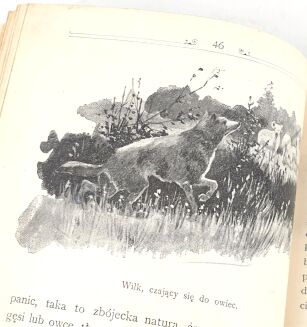 MACHCZYŃSKI - MOZAJKA WILCZA UŁOŻONA Z MŁODZIEŃCZYCH WSPOMNIEŃ MYŚLIWSKICH PRZYJACIELA 1896 ryciny - 10