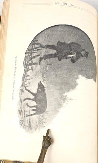 MACHCZYŃSKI - MOZAJKA WILCZA UŁOŻONA Z MŁODZIEŃCZYCH WSPOMNIEŃ MYŚLIWSKICH PRZYJACIELA 1896 ryciny - 13