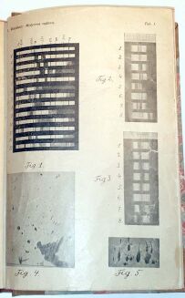 WACHHOLZ- MEDYCYNA SĄDOWA wyd. 1925 - 4