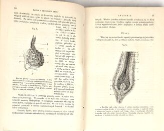 STOCKMANN- NAUKA O CHOROBACH SKÓRY [DERMATOLOGIA] 1870 - 4