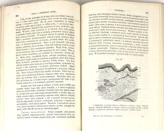STOCKMANN- NAUKA O CHOROBACH SKÓRY [DERMATOLOGIA] 1870 - 5