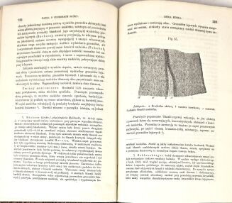 STOCKMANN- NAUKA O CHOROBACH SKÓRY [DERMATOLOGIA] 1870 - 6