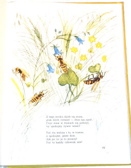 JANUSZEWSKA- Z GÓRY NA MAZURY wyd. 1965 - 4