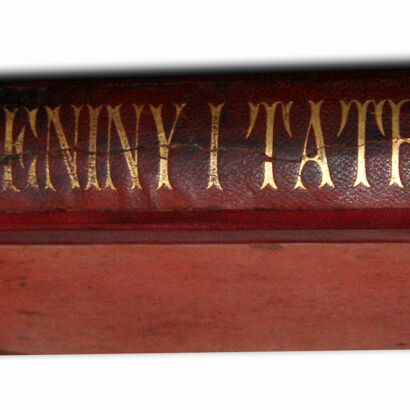 STĘCZYŃSKI - PIENINY I TATRY oraz TATRY W DWUDZIESTU CZTERECH OBRAZACH 160 rycin