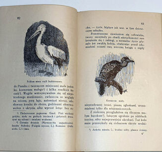 KORSAK - KU INDYJSKIEJ RUBIEŻY łowiectwo - 8