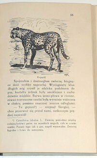 KORSAK - KU INDYJSKIEJ RUBIEŻY łowiectwo - 3