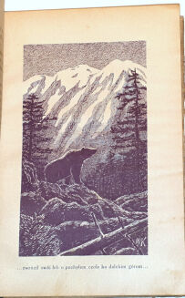 KORSAK - KU INDYJSKIEJ RUBIEŻY łowiectwo - 6