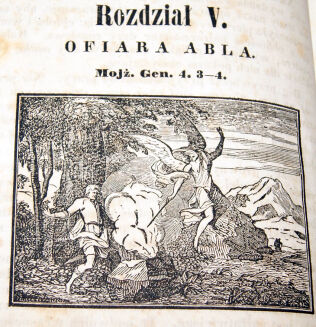 BRODZIŃSKI- DZIEJE STAREGO I NOWEGO TESTAMENTU t.1-2 wyd. 1853 - 7