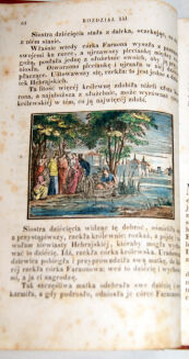 BRODZIŃSKI- DZIEJE STAREGO I NOWEGO TESTAMENTU t.1-2 wyd. 1853 - 10