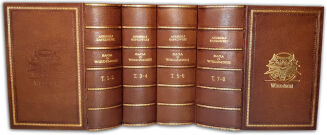 SAPKOWSKI- SAGA O WIEDŹMINIE komplet OPRAWA - 8