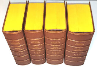 SAPKOWSKI- SAGA O WIEDŹMINIE komplet OPRAWA - 9