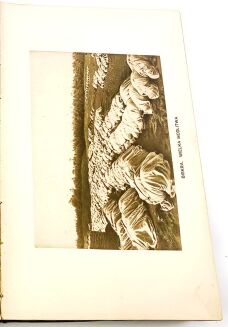 OSSENDOWSKI- POD SMAGANIEM SAMUMU - OPRAWA WYDAWNICZA  - 5