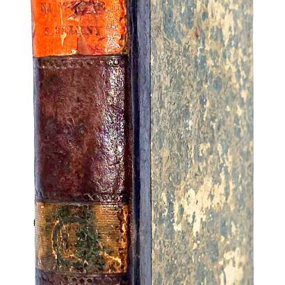 LAS CASES - NAPOLEON NA WYSPIE ŚWIĘTEJ HELENY. WYJĄTKI Z PAMIĘTNIKÓW LAS-KAZESA NAPOLEON NA WYSPIE ŚWIĘTEJ HELENY. WYJĄTKI Z PAMIĘTNIKÓW LAS-KAZESA. Cz. 3-4. Wilno 1841