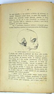 DARWIN - O POCHODZENIU CZŁOWIEKA / ON THE ORIGIN OF MAN 1884, second polish edition - 2