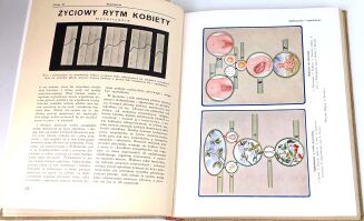 KULTURA I ŻYCIE DOMOWE 1-2 ilustrowany poradnik 1938 - 6
