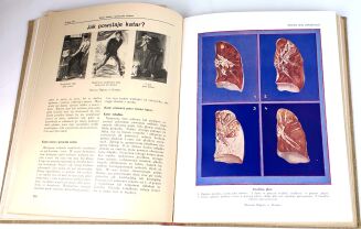 KULTURA I ŻYCIE DOMOWE 1-2 ilustrowany poradnik 1938 - 8