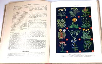 KULTURA I ŻYCIE DOMOWE 1-2 ilustrowany poradnik 1938 - 10