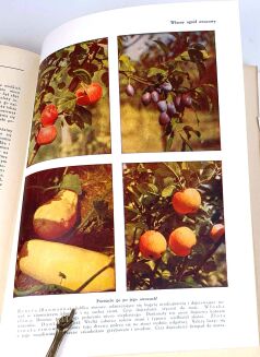 KULTURA I ŻYCIE DOMOWE 1-2 ilustrowany poradnik 1938 - 22