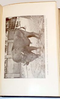 WRÓBLEWSKI - ŻUBR PUSZCZY BIAŁOWIESKIEJ Monografja wyd.1927r. - 5