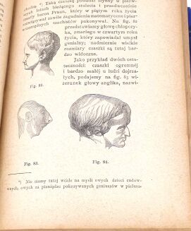 LAVATER; CARUS; GALL- ZASADY FIZYOGNOMIKI I FRENOLOGII wyd. 1883 drzeworyty - 8