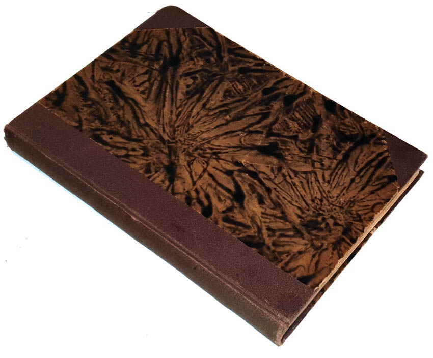 HOYER - ANATOMJA PORÓWNAWCZA ZWIERZĄT DOMOWYCH wyd.1927 hodowla koni