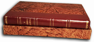 BEJZE - W KIERUNKU CZŁOWIEKA - 3