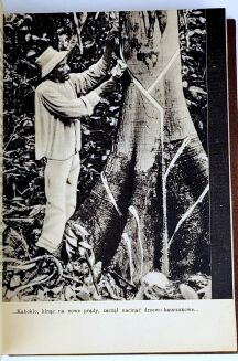 FIEDLER- ZDOBYWAMY AMAZONKĘ wyd.1 z 1937 - 5