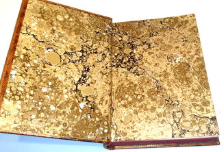 OGRODNICTWO rocznik XI - 2