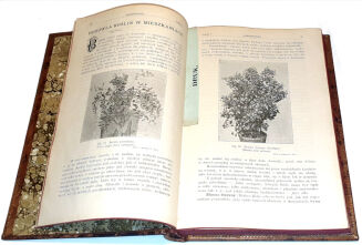 OGRODNICTWO rocznik XI - 4