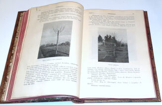 OGRODNICTWO rocznik XI - 5