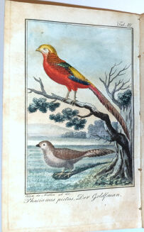 LAUROP, FISCHER - SYLVAN EIN JAHRBUCH FÜR FORSTMÄNNER,JÄGER UND JAGDFREUNDE FÜR DAS JAHR 1818 - 8