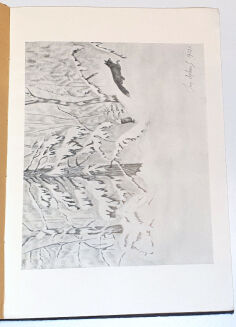 DYLEWSKI- LIS monografia myśliwska  wyd. 1932 - 3