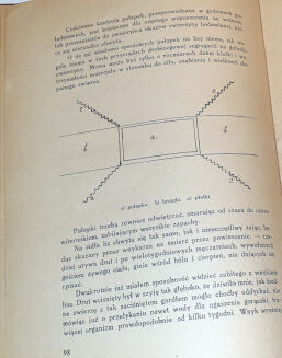 DYLEWSKI- LIS monografia myśliwska  wyd. 1932 - 5