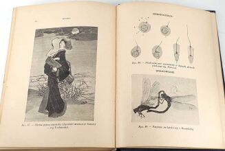 FREUD, MARCUSE; HIGIER- ENCYKLOPEDIA WIEDZY SEKSUALNEJ t.1-4 [komplet w 4 wol.] wyd.1937 - 6