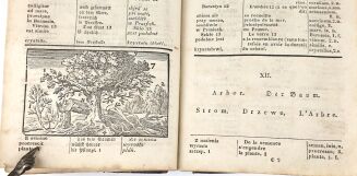 KOMEŃSKI - ORBIS PICTUS. 1833. Słownik obrazkowy dla dzieci. - 5