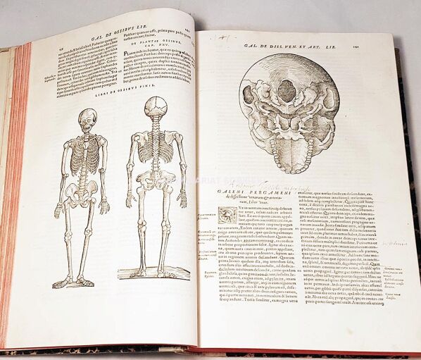 Starodruki medyczne polonica.