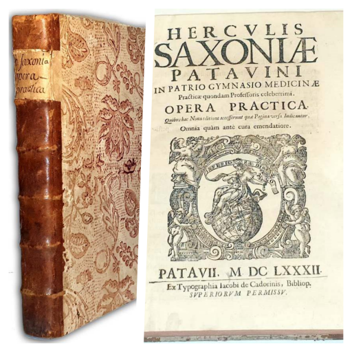 Herculis Saxoniae - Medicinae 1682 Polonica, Zamosc Academy, Polish quilt