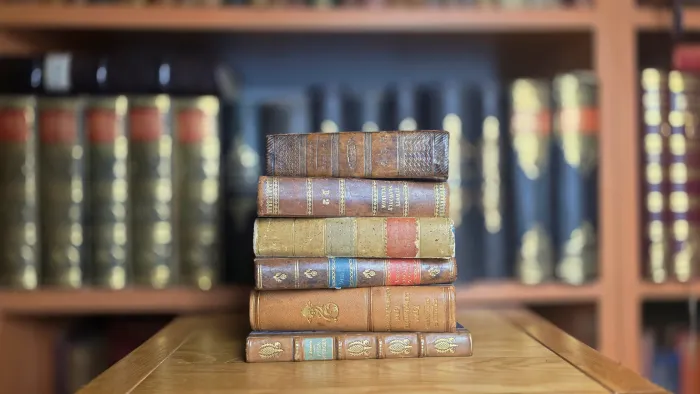 Gdzie kupić kolekcjonerskie wydania starej literatury polskiej?