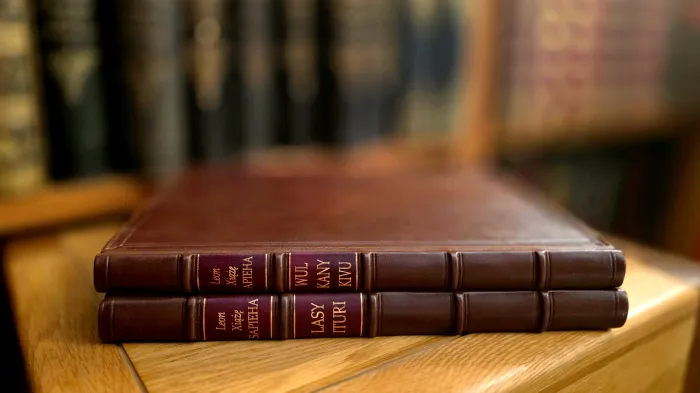 Leon Sapieha. Afryka, wielkie polowania i historia niezwykłej wyprawy.